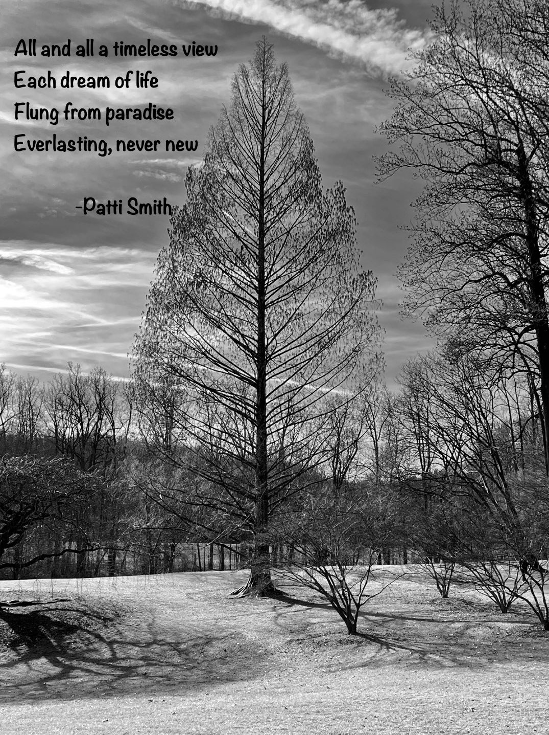 Miriam Struck ~ Tree with Poem 2