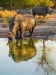 Novice~Larry-Gold~Early-Evening-Bath